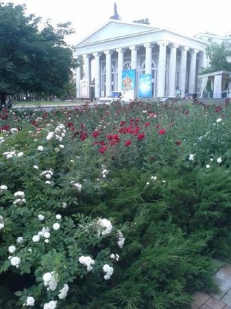 Донецк - город миллиона роз!