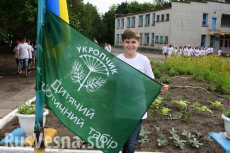 В Днепропетровске открыли лагерь юных нацистов «Укропчик» (ФОТО)