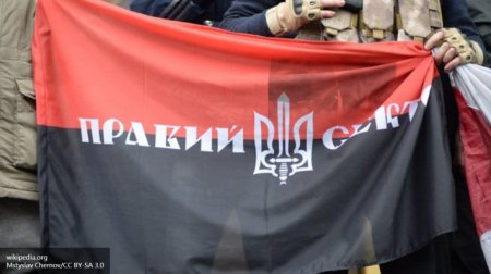 Польские фанаты оплевали и растоптали флаг «Правого сектора»