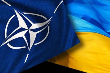 Обнародовано письмо к Киеву с призывом провести референдум по НАТО