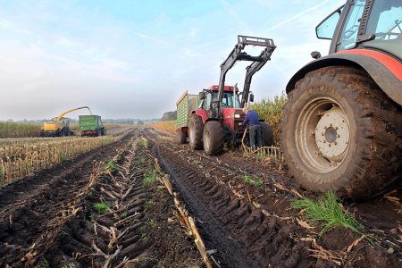 Немецкий союз фермеров: рынок РФ для аграриев ФРГ практически потерян