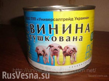 Под Киевом умертвили 60 тысяч свиней