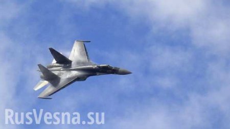 Defense World: Индонезия намерена первой в мире купить у России Су-35