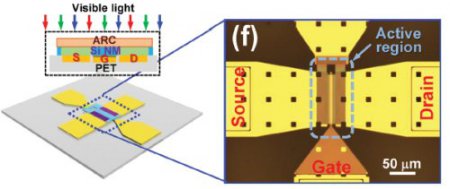 Созданы самые скоростные и высокочувствительные на сегодняшний день гибкие фототранзисторы