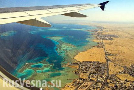 Казахстан прекращает авиасообщение с Египтом