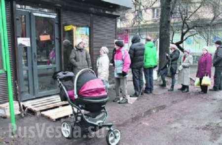 Украинский мир: Киевляне мерзнут в очередях за дешевым хлебом (ФОТО)