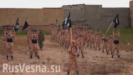 Боевики ИГИЛ казнили 80 человек близ иракского Мосула, — СМИ
