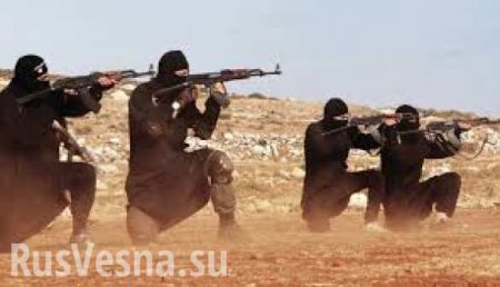 В Ливии увеличился приток боевиков ИГИЛ, — Washington Times