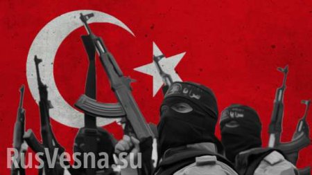 Темный бизнес Турции и ИГИЛ: нефть и героин — шокирующая аналитика индийского эксперта