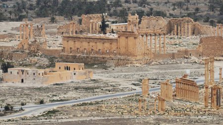 Эксперты рассказали RT о возможности восстановления культурных памятников Пальмиры