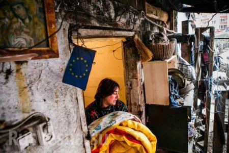 Будни европейской Украины: свиноферма среди киевских высоток (ФОТО)