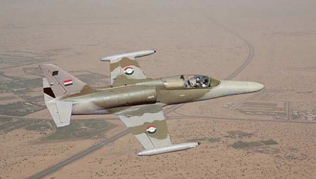 ВВС Ирака уничтожили в провинции Анбар семь главарей ИГ