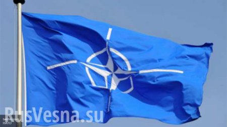 НАТО должна прекратить попытки военного давления на Москву, — постпред РФ