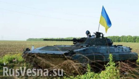 ВСУ обстреляли позиции Народной милиции ЛНР из орудий БМП и зенитных установок