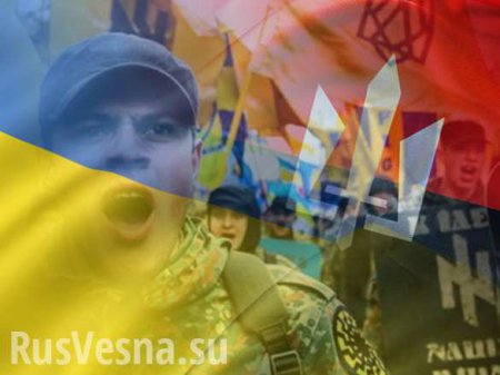 Разговоры о военном перевороте на Украине — дурость, — глава МВД