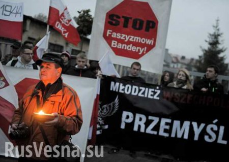 «Сына дразнят «бандеровским курвом», — украинцы жалуются на притеснения в Польше