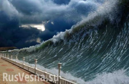 Новозеландское землетрясение вызвало двухметровое цунами (ВИДЕО)