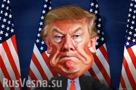 Есть ли жизнь при Трампе? — украинские политики в панике бегут к послу США (ВИДЕО)
