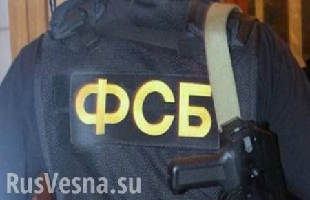 Задержанные в Москве экстремисты могли готовить теракты на Новый год, — источник