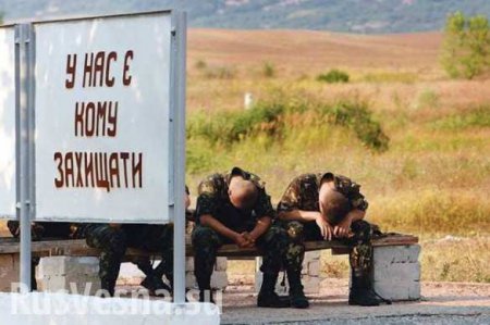 Киев направил в Попасную спецназ для отлова дезертиров и пьяниц из ВСУ, — Народная милиция ЛНР