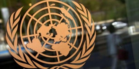 Турция поддержала в ООН признание России "оккупантом"