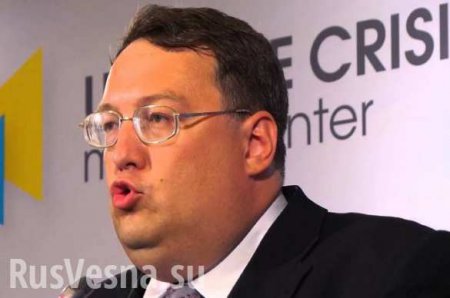 Советник Авакова признал, что антиукраинская риторика европейских политиков «только придает им позитива» в глазах избирателей