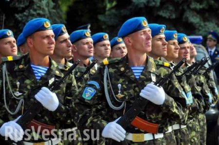 «Натовская солидарность» не дала Латвии посетить военные объекты в России