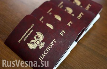 Евросоюз пока не готов признать паспорта ДНР и ЛНР