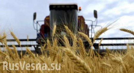 Турция отменила санкции против российской пшеницы