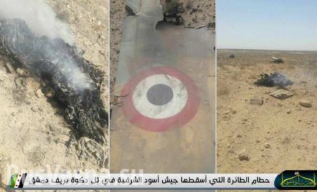 СРОЧНО: Первое видео с места падения сбитого боевиками США истребителя МиГ-21 ВВС Сирии (ВИДЕО 18+)