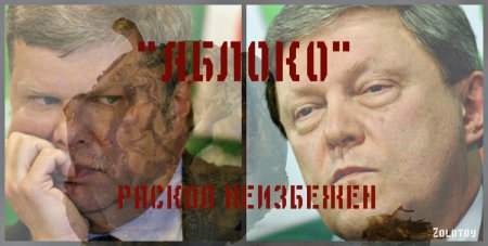 «Яблоко» раздора: забьет ли Сергей Митрохин последний гвоздь в крышку гроба детища Явлинского
