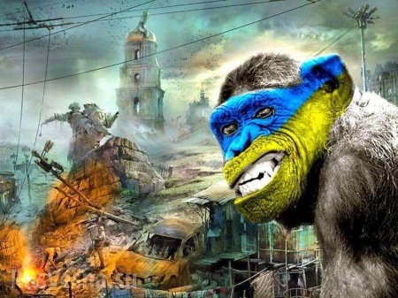 Дрессированные обезьяны украинства (ВИДЕО)