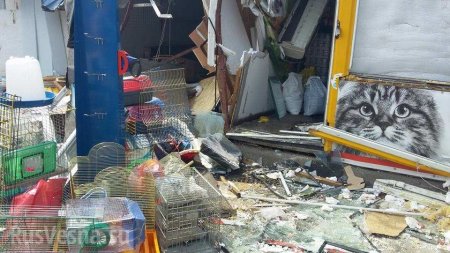 В Киеве бульдозерами снесли зоомагазин с животными внутри (ФОТО)