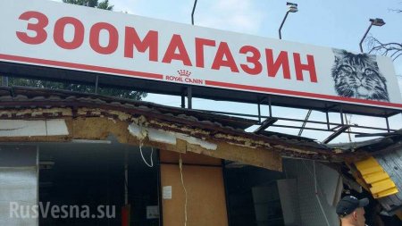 В Киеве бульдозерами снесли зоомагазин с животными внутри (ФОТО)