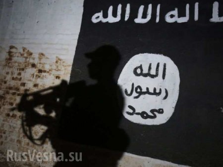 SkyNews: Украина — перевалочный пункт террористов ИГИЛ на пути в Европу (ФОТО) 