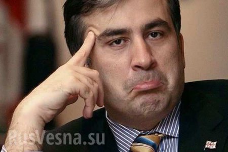 Саакашвили и еще 27 человек соврали, — в Раде рассказали о скандальном лишении гражданства 