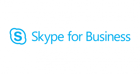 Microsoft представляет Skype Professional для поставщиков удаленных услуг