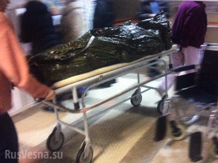 «В Киеве новый борт с тяжелыми ранеными, как в 2014 году», — украинские «волонтеры» (ФОТО)