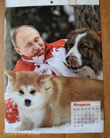 Новый календарь с Путиным и собаками растопит даже самые холодные сердца, — СМИ Британии