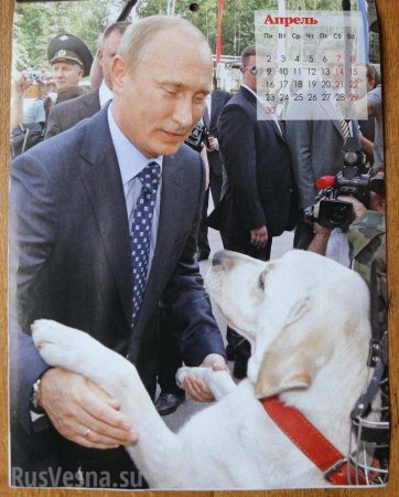 Новый календарь с Путиным и собаками растопит даже самые холодные сердца, — СМИ Британии