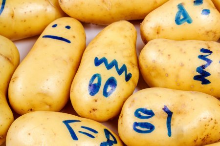 Эксперты не исключат подорожание картофеля в начале 2018 года
