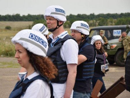 Украинские нардепы срываются на ОБСЕ. И это хорошо