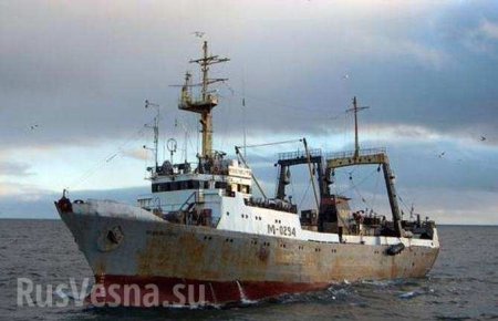 Два плота обнаружены на месте поисков судна «Восток» в Приморье (ОБНОВЛЕНО)