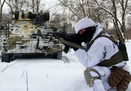 Бандеровское пугало: о планах нападения Киева на Донбасс