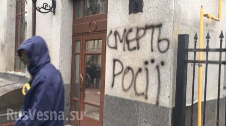 Что думают украинцы про разгром офиса Россотрудничества? — опрос на улицах Киева (ВИДЕО)