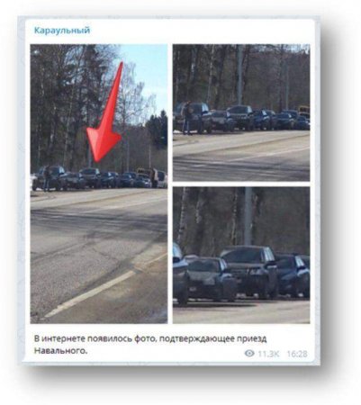 Навального уличили в дешевом пиаре в Волоколамске