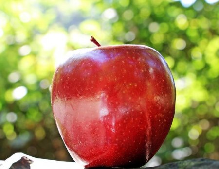 Американку оштрафовали за незадекларированное яблоко