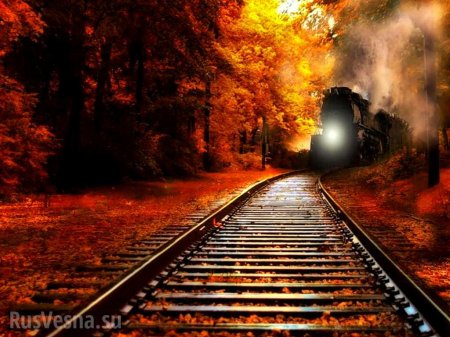 Уникальные кадры: Поезд проехал сквозь горящий лес в Хабаровском крае (ВИДЕО)