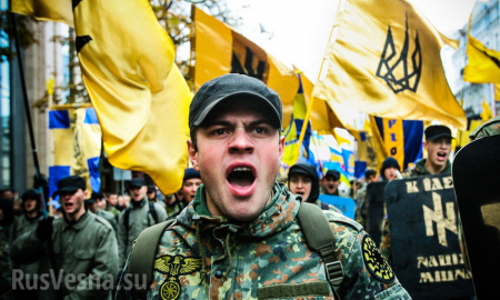 Украина как полигон для новых старых ультраправых идей (ВИДЕО)