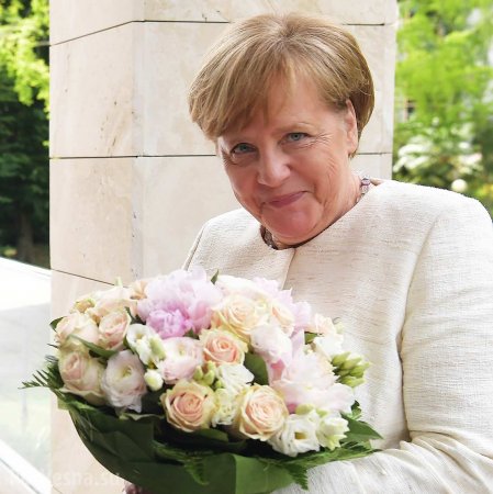 В Кремле ответили на публикацию Bild об «оскорбительном букете» для Меркель